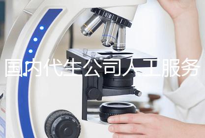 国内代生公司人工服务