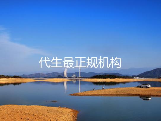 代生最正规机构